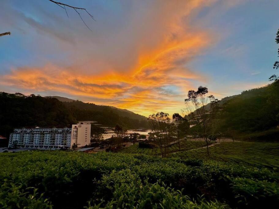 Teavalleyview & Farmview - 3br Cool Summer Cameron Pangsapuri *
