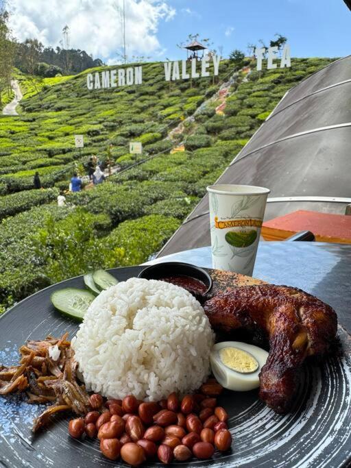 Teavalleyview & Farmview - 3br Cool Summer Cameron Pangsapuri *