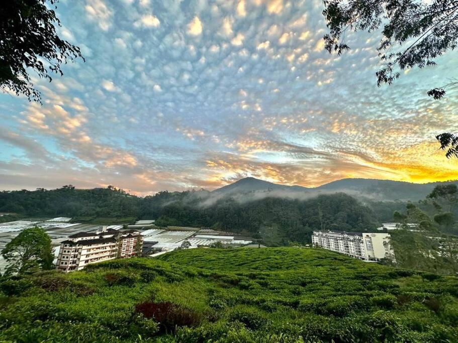 Pangsapuri Teavalleyview & Farmview - 3br Cool Summer Cameron *