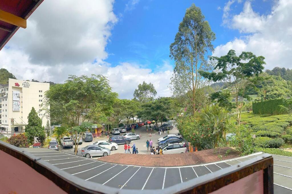 Teavalleyview & Farmview - 3br Cool Summer Cameron Pangsapuri *